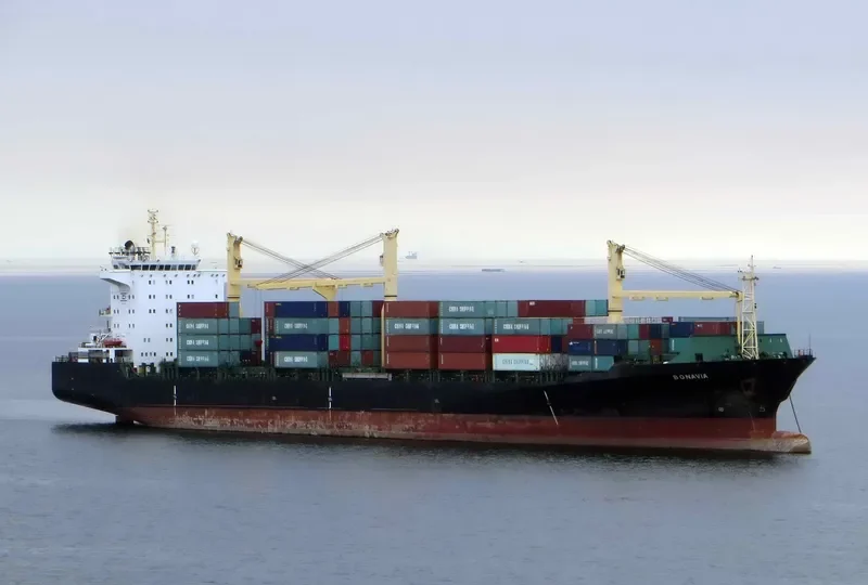 BONAVIA Container Ship IMO 9064334 photo 4
