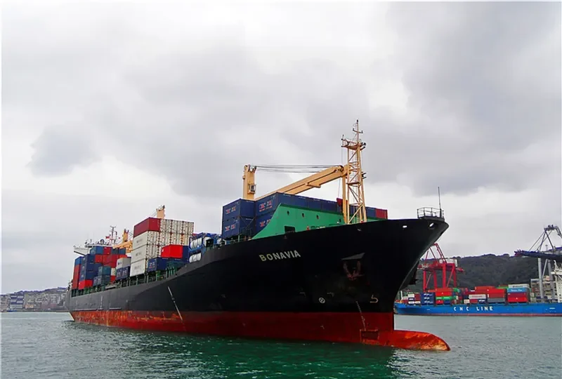 BONAVIA Container Ship IMO 9064334 photo 9