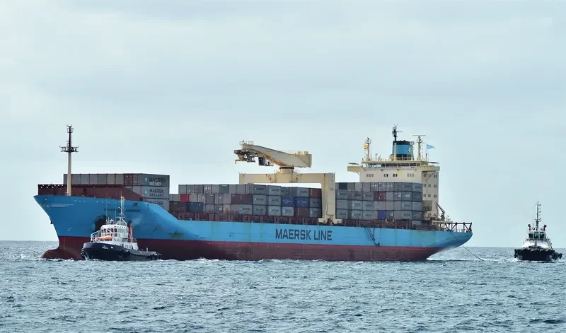 MAERSK TAASINGE Container Ship IMO 9064384 photo 3