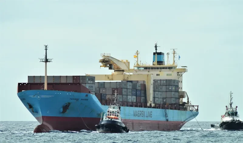 MAERSK TAASINGE Container Ship IMO 9064384 photo 4