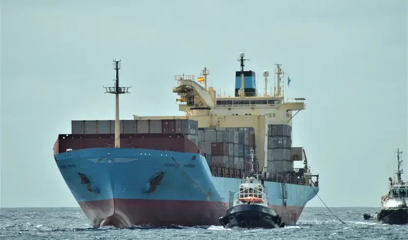 MAERSK TAASINGE Container Ship IMO 9064384 photo 5