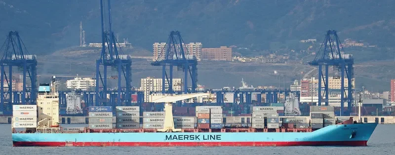 MAERSK TAASINGE Container Ship IMO 9064384 photo 7