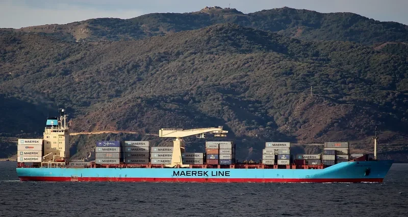 MAERSK TAASINGE Container Ship IMO 9064384 photo 8