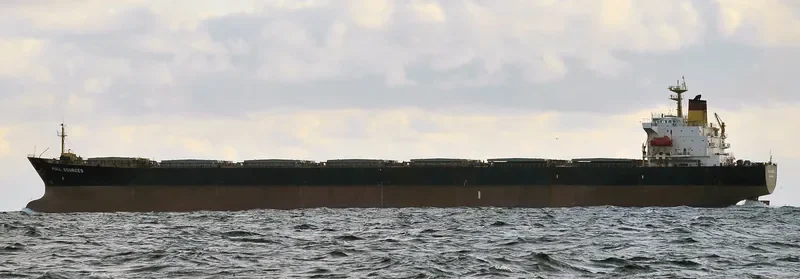 FULL SOURCES Bulk Carrier IMO 9064449