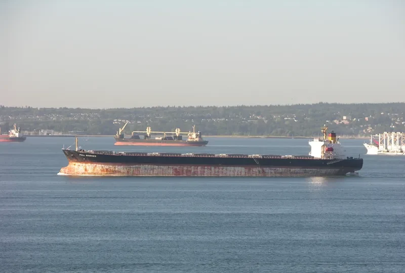 FULL SOURCES Bulk Carrier IMO 9064449 photo 3