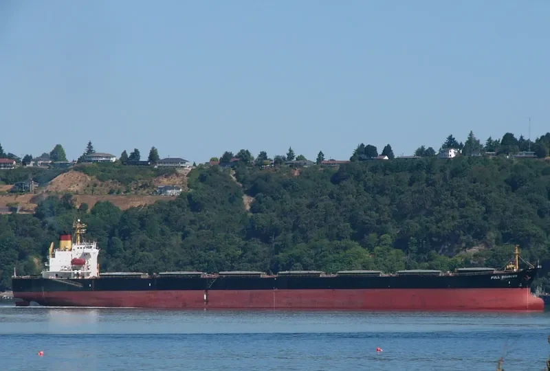 FULL SOURCES Bulk Carrier IMO 9064449 photo 7