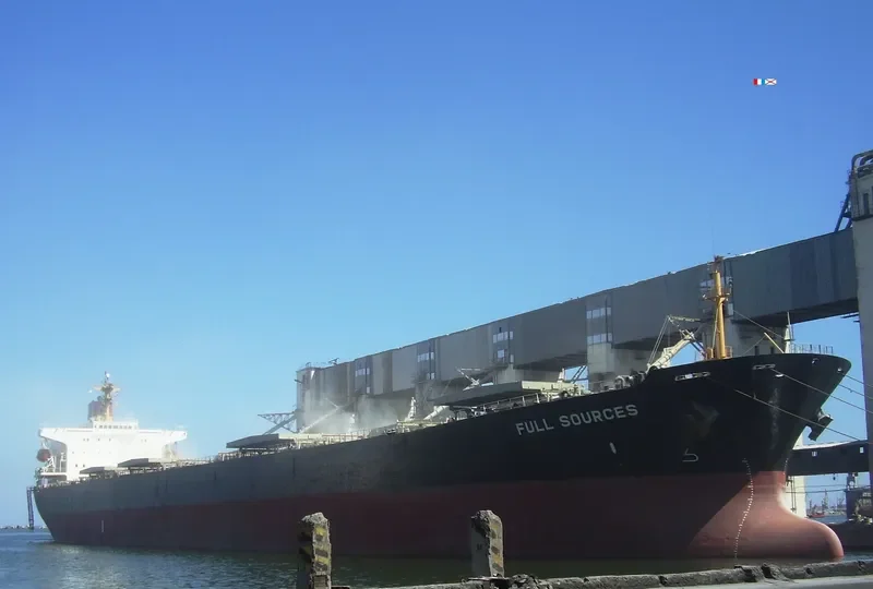 FULL SOURCES Bulk Carrier IMO 9064449 photo 8