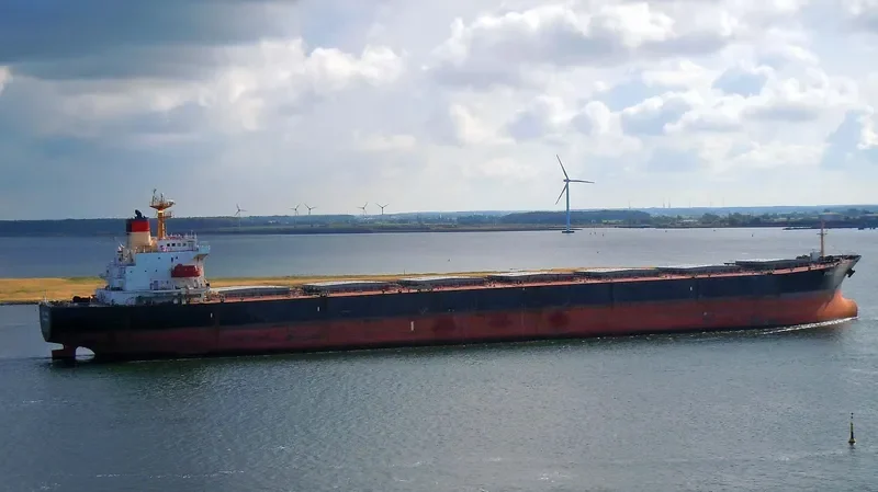 FULL SPRING Bulk Carrier IMO 9064451 photo 3