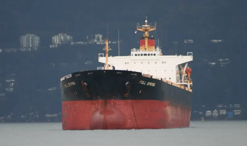 FULL SPRING Bulk Carrier IMO 9064451 photo 6