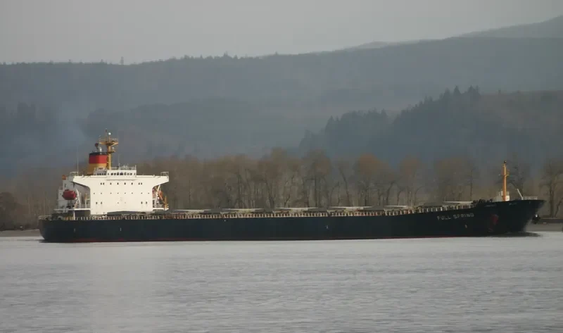 FULL SPRING Bulk Carrier IMO 9064451 photo 7