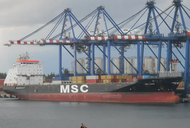 MSC LARA Container Ship IMO 9064748 photo 2