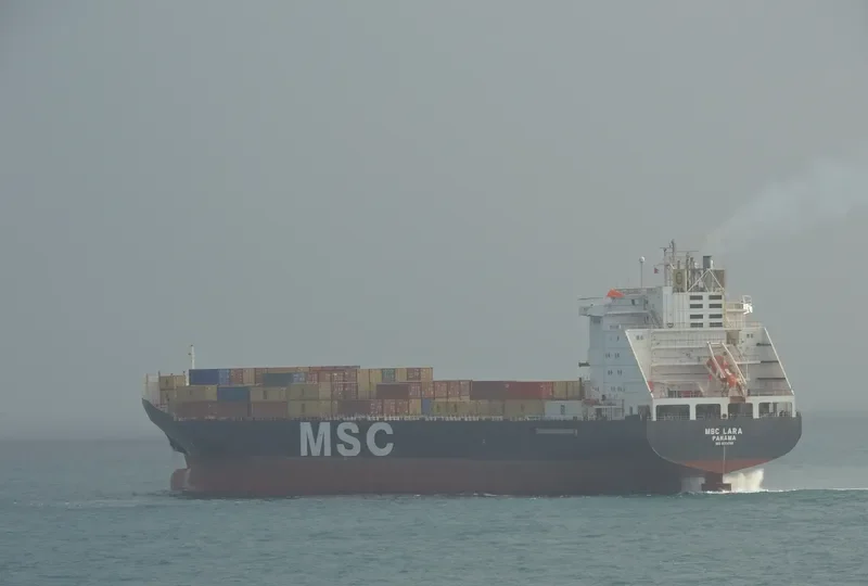 MSC LARA Container Ship IMO 9064748 photo 4