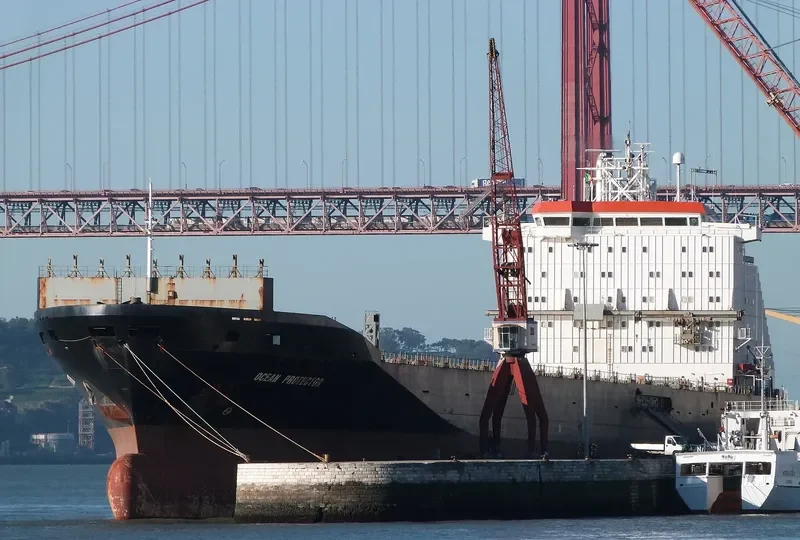 ZE HONG Container Ship IMO 9064798 photo 4