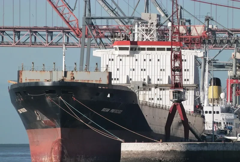 ZE HONG Container Ship IMO 9064798 photo 5