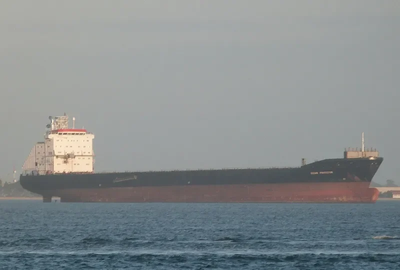 ZE HONG Container Ship IMO 9064798 photo 7