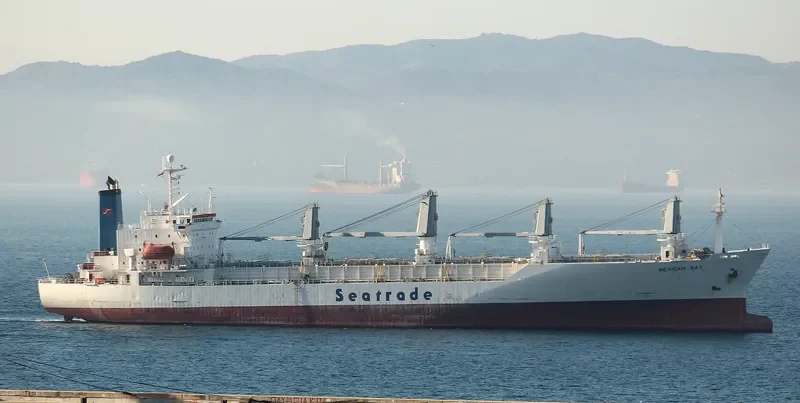 MEXICAN BAY General Cargo IMO 9064839 photo 9