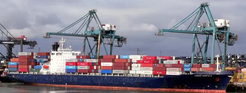ZHONGWAIYUNHUMEN Container Ship IMO 9064841 photo 3
