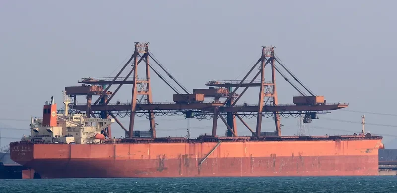 OCEAN VANGUARD Bulk Carrier IMO 9064889 photo 2