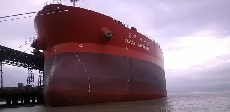 OCEAN VANGUARD Bulk Carrier IMO 9064889 photo 3