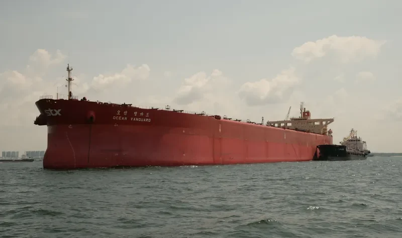 OCEAN VANGUARD Bulk Carrier IMO 9064889 photo 4