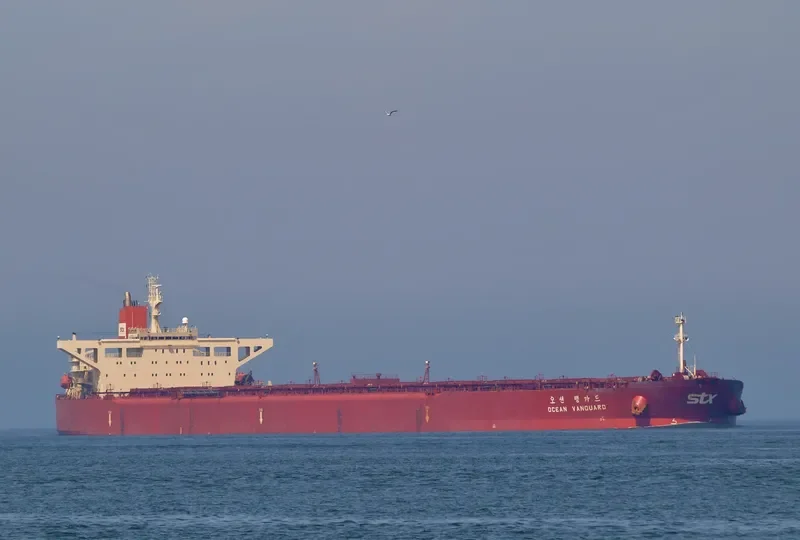 OCEAN VANGUARD Bulk Carrier IMO 9064889 photo 6