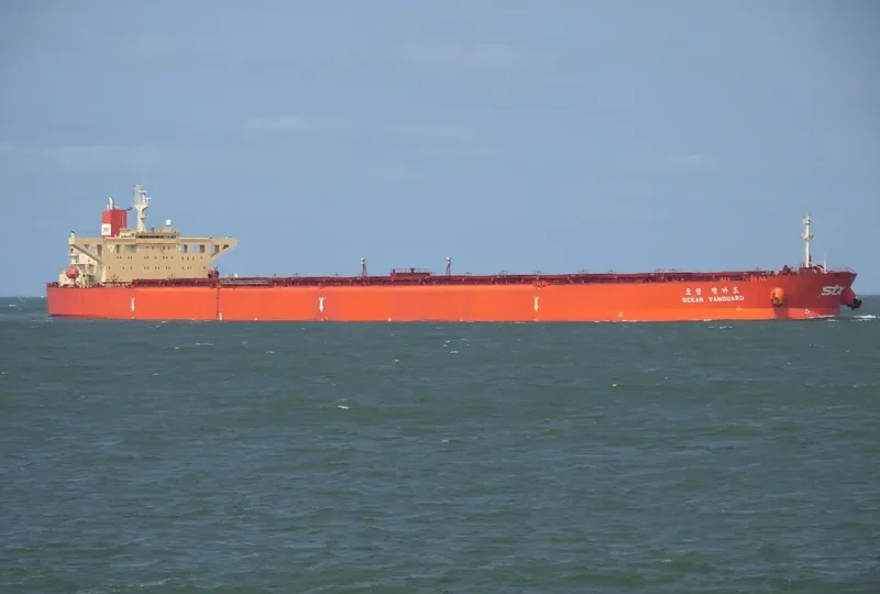 OCEAN VANGUARD Bulk Carrier IMO 9064889 photo 7