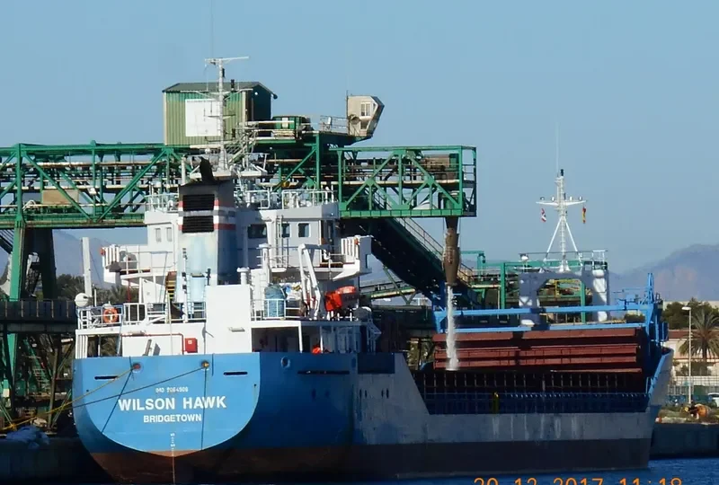 WILSON HAWK General Cargo IMO 9064906 photo 2