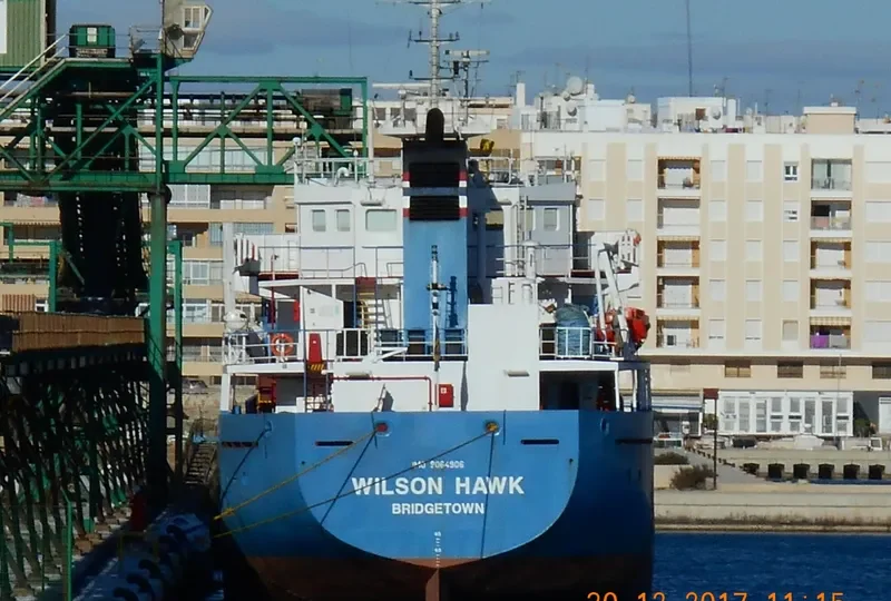 WILSON HAWK General Cargo IMO 9064906 photo 3
