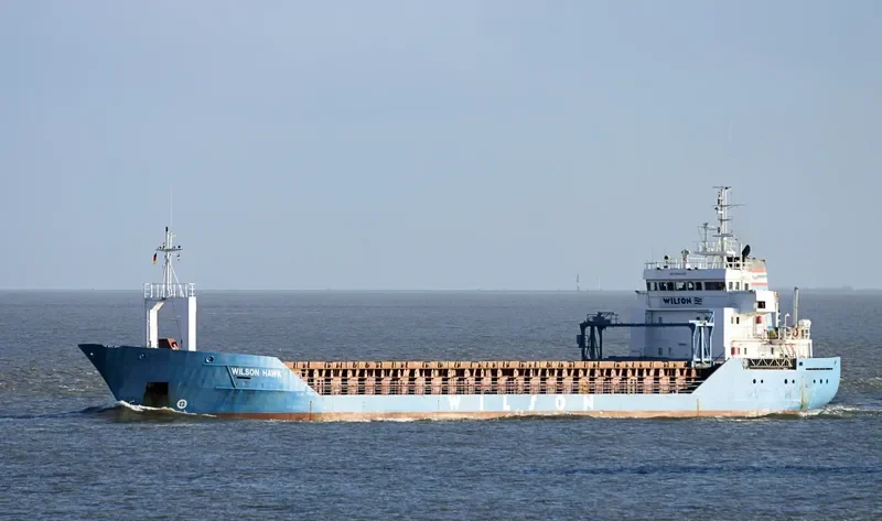 WILSON HAWK General Cargo IMO 9064906 photo 5