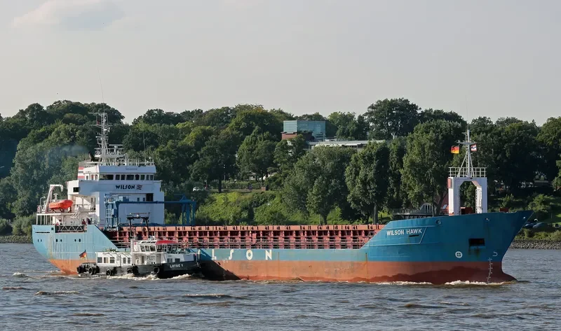 WILSON HAWK General Cargo IMO 9064906 photo 7