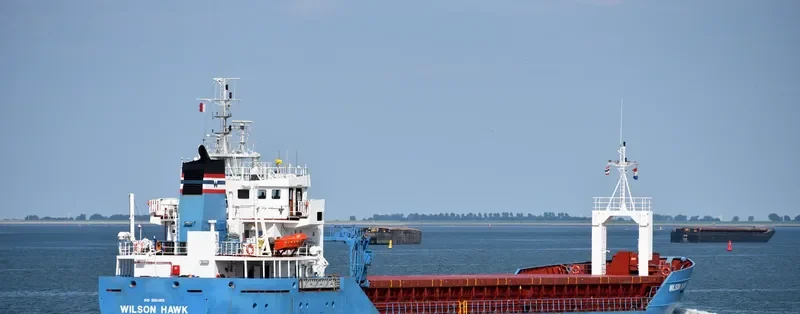 WILSON HAWK General Cargo IMO 9064906 photo 8
