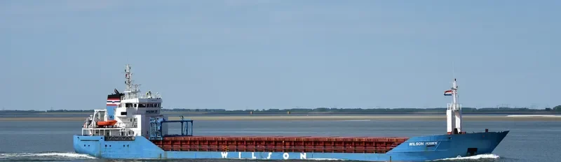 WILSON HAWK General Cargo IMO 9064906 photo 9