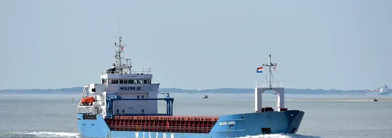 WILSON HAWK General Cargo IMO 9064906 photo 10