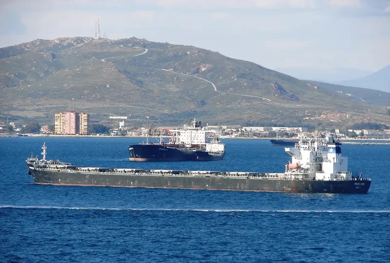 PRIMROSE Tanker IMO 9065077