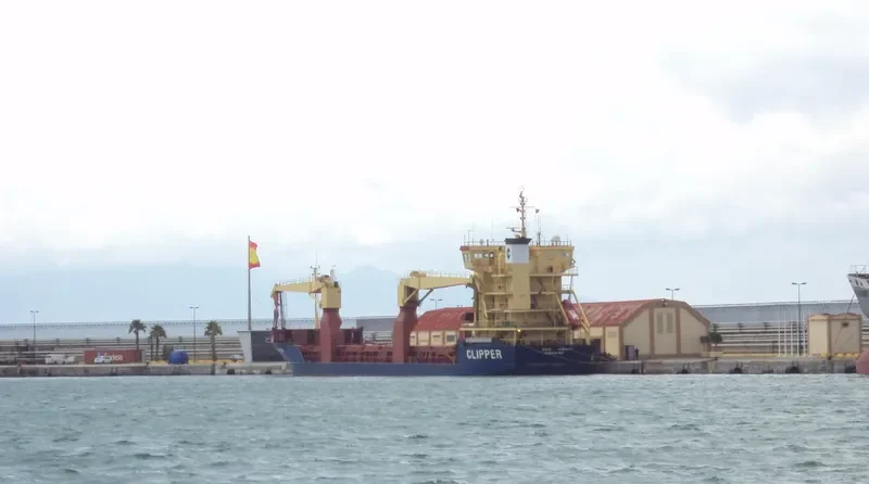 MORETA CARGO 3 General Cargo IMO 9065285 photo 8