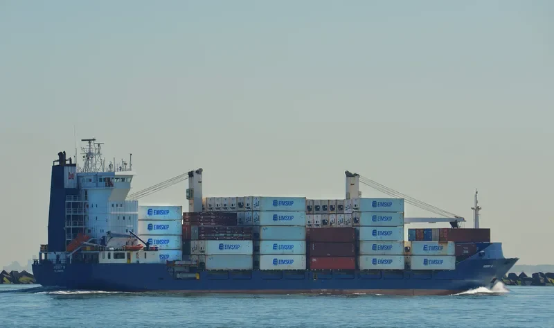MC HUNTER Container Ship IMO 9065297 photo 2