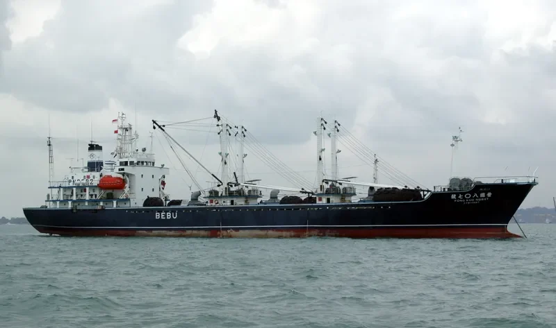 XIN RUI General Cargo IMO 9065534