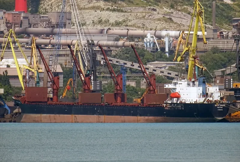 WHITE SHARK Bulk Carrier IMO 9065572