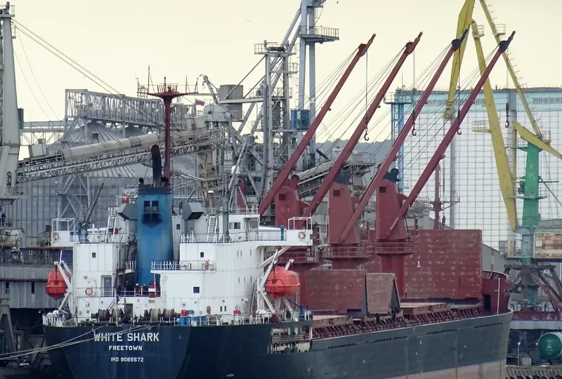 WHITE SHARK Bulk Carrier IMO 9065572 photo 2
