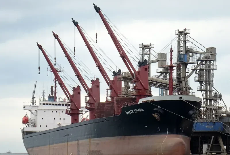 WHITE SHARK Bulk Carrier IMO 9065572 photo 3