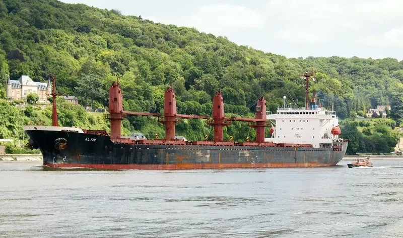 WHITE SHARK Bulk Carrier IMO 9065572 photo 5