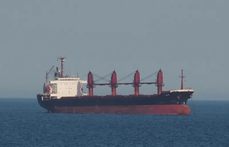 WHITE SHARK Bulk Carrier IMO 9065572 photo 7