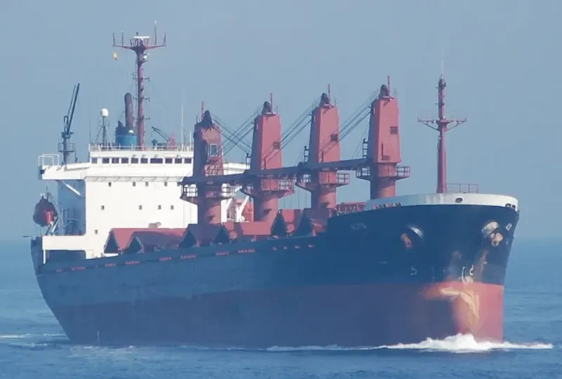 WHITE SHARK Bulk Carrier IMO 9065572 photo 8