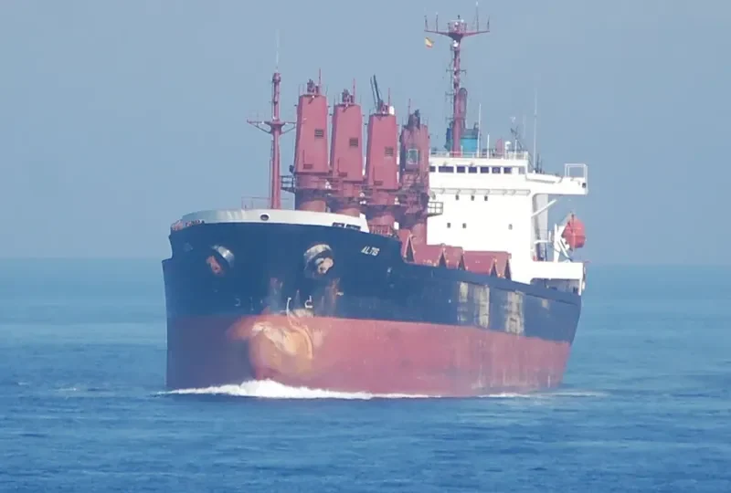 WHITE SHARK Bulk Carrier IMO 9065572 photo 9