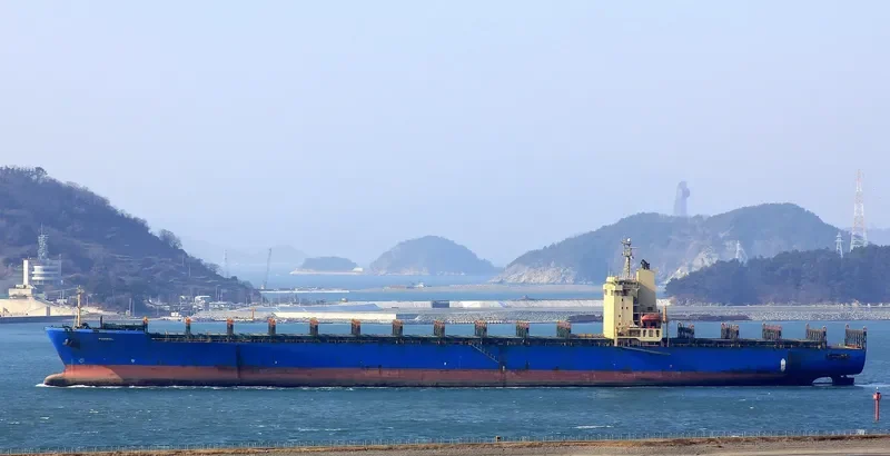 FEDERAL Container Ship IMO 9065625