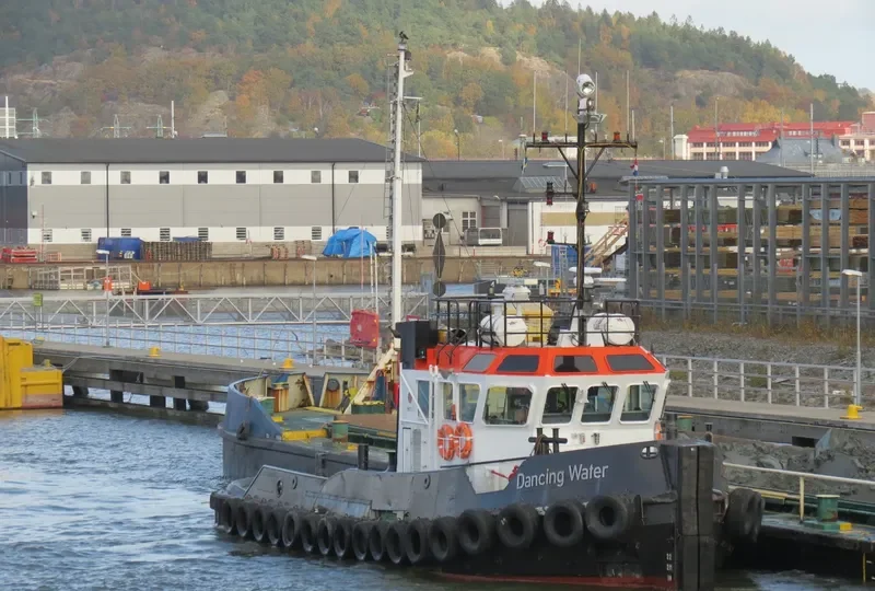 DANCING WATER General Cargo IMO 9065807