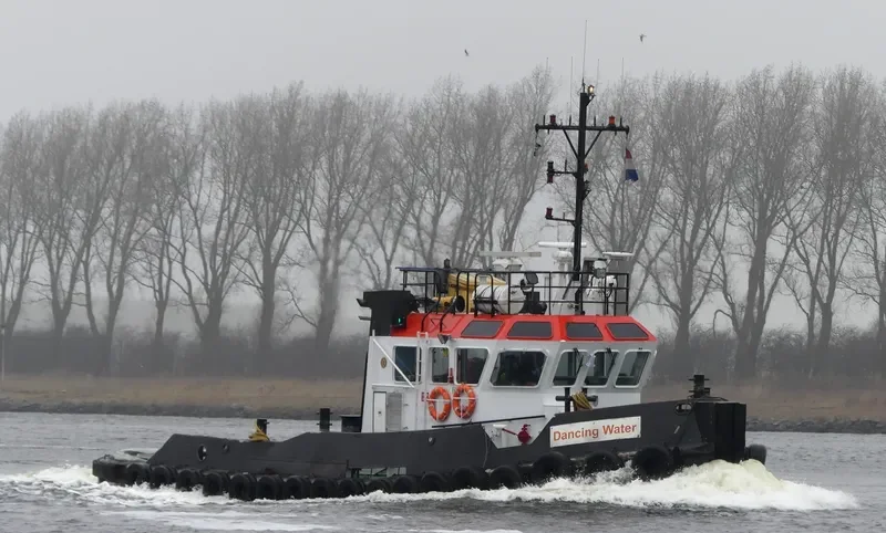 DANCING WATER General Cargo IMO 9065807 photo 9