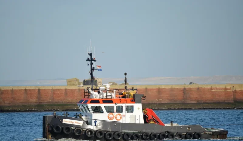 DANCING WATER General Cargo IMO 9065807 photo 10