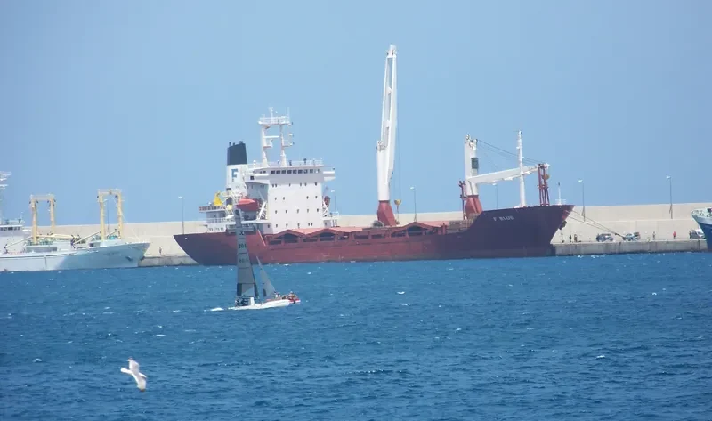 ELSIN RANI General Cargo IMO 9065900