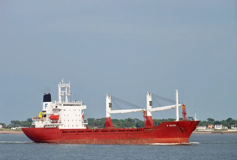 ELSIN RANI General Cargo IMO 9065900 photo 4